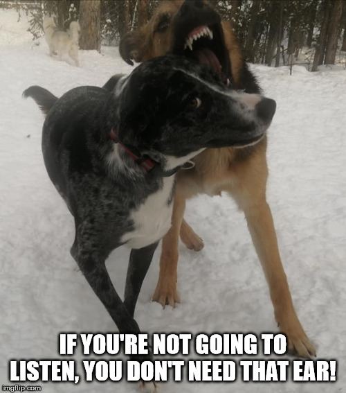 IF YOU'RE NOT GOING TO LISTEN, YOU DON'T NEED THAT EAR! | image tagged in not listening | made w/ Imgflip meme maker