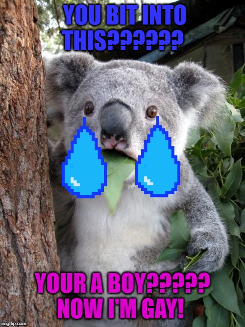 Surprised Koala Meme | YOU BIT INTO THIS?????? YOUR A BOY????? NOW I'M GAY! | image tagged in memes,surprised koala | made w/ Imgflip meme maker