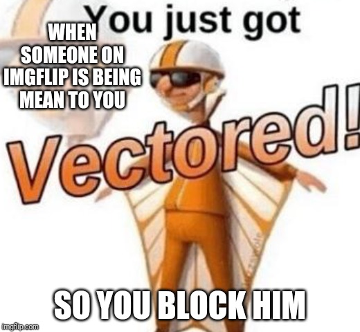 You Just Got Vectored, Big Time | WHEN SOMEONE ON IMGFLIP IS BEING MEAN TO YOU; SO YOU BLOCK HIM | image tagged in you just got vectored | made w/ Imgflip meme maker