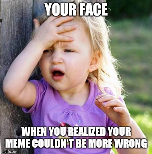 duh | YOUR FACE WHEN YOU REALIZED YOUR MEME COULDN'T BE MORE WRONG | image tagged in duh | made w/ Imgflip meme maker