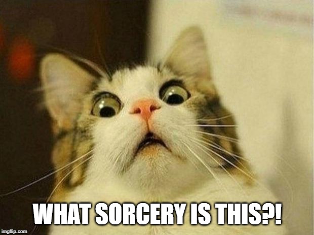 Scared Cat Meme | WHAT SORCERY IS THIS?! | image tagged in memes,scared cat | made w/ Imgflip meme maker