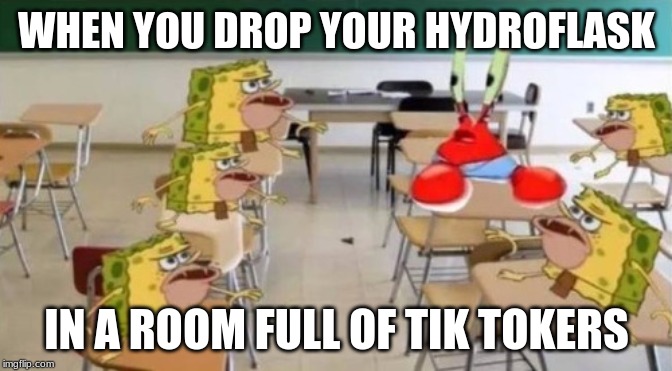 classroom confused krabs and cavebob | WHEN YOU DROP YOUR HYDROFLASK; IN A ROOM FULL OF TIK TOKERS | image tagged in classroom confused krabs and cavebob | made w/ Imgflip meme maker
