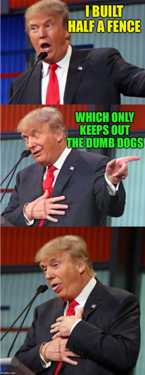Bad Pun Trump | I BUILT HALF A FENCE WHICH ONLY KEEPS OUT THE DUMB DOGS | image tagged in bad pun trump | made w/ Imgflip meme maker