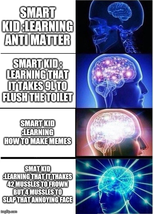 Expanding Brain | SMART KID :LEARNING ANTI MATTER; SMART KID : LEARNING THAT IT TAKES 9L TO FLUSH THE TOILET; SMART KID :LEARNING HOW TO MAKE MEMES; SMAT KID :LEARNING THAT IT THAKES 42 MUSSLES TO FROWN BUT 4 MUSSLES TO SLAP THAT ANNOYING FACE | image tagged in memes,expanding brain | made w/ Imgflip meme maker