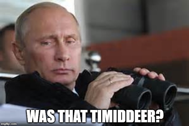 Putin Binoculars | WAS THAT TIMIDDEER? | made w/ Imgflip meme maker