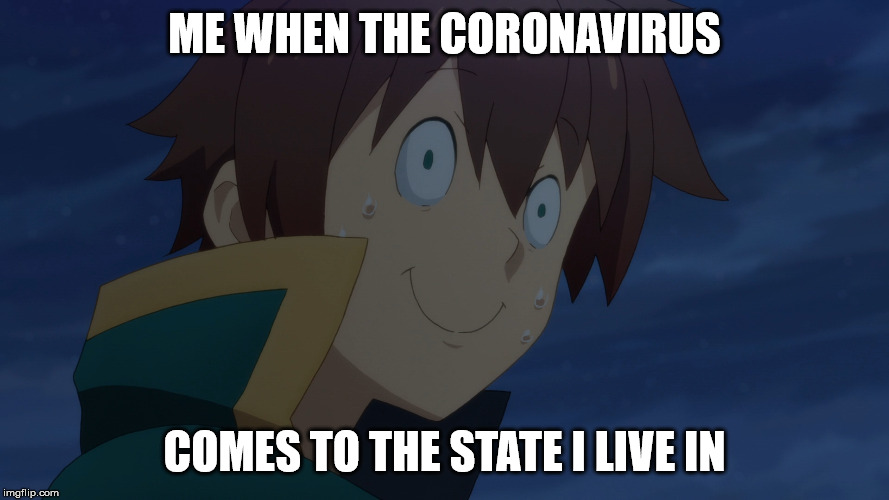I'M SCREWED | ME WHEN THE CORONAVIRUS; COMES TO THE STATE I LIVE IN | image tagged in coronavirus | made w/ Imgflip meme maker