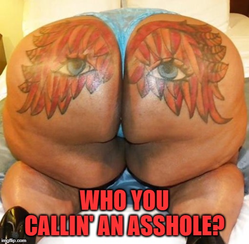 nasty butt | WHO YOU CALLIN' AN ASSHOLE? | image tagged in nasty butt | made w/ Imgflip meme maker