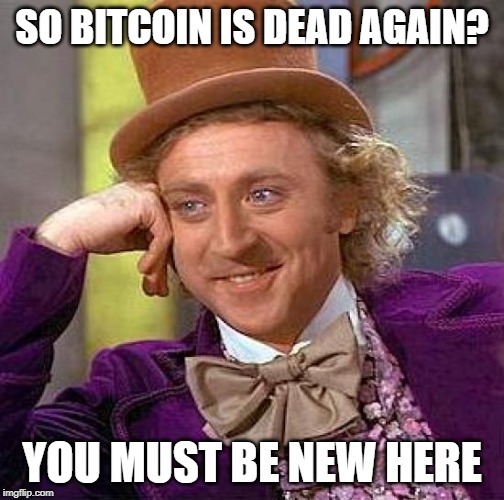 Creepy Condescending Wonka Meme | SO BITCOIN IS DEAD AGAIN? YOU MUST BE NEW HERE | image tagged in memes,creepy condescending wonka | made w/ Imgflip meme maker