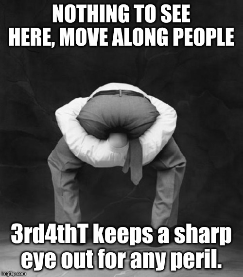 Head Up Ass | NOTHING TO SEE HERE, MOVE ALONG PEOPLE 3rd4thT keeps a sharp eye out for any peril. | image tagged in head up ass | made w/ Imgflip meme maker