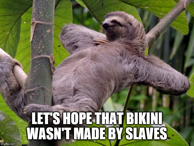 Lazy Sloth | LET'S HOPE THAT BIKINI WASN'T MADE BY SLAVES | image tagged in lazy sloth | made w/ Imgflip meme maker