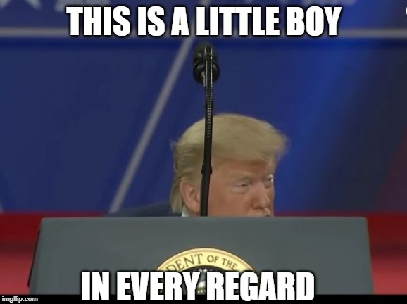 What happens when dad sends his kid off to 'military' school because he doesn't love him. | THIS IS A LITTLE BOY; IN EVERY REGARD | image tagged in memes,donald trump is an idiot,maga,impeach trump,children,politics | made w/ Imgflip meme maker