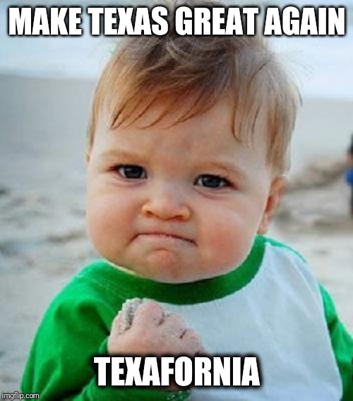 yess | MAKE TEXAS GREAT AGAIN TEXAFORNIA | image tagged in yess | made w/ Imgflip meme maker
