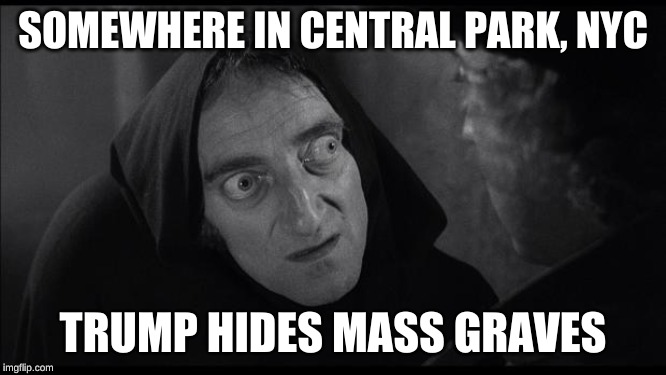 Young Frankenstein | SOMEWHERE IN CENTRAL PARK, NYC TRUMP HIDES MASS GRAVES | image tagged in young frankenstein | made w/ Imgflip meme maker