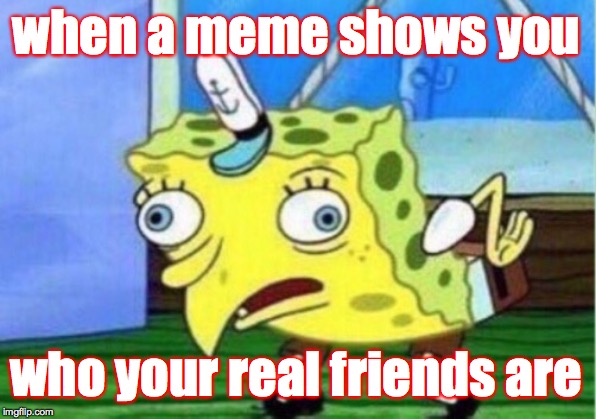 Mocking Spongebob Meme | when a meme shows you who your real friends are | image tagged in memes,mocking spongebob | made w/ Imgflip meme maker