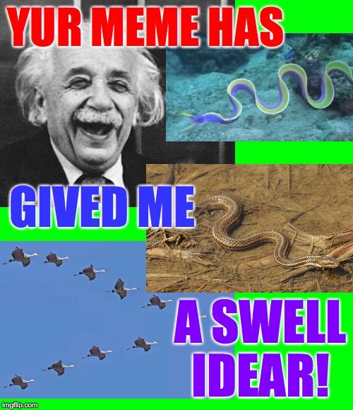 YUR MEME HAS A SWELL IDEAR! GIVED ME | image tagged in green screen for videos | made w/ Imgflip meme maker