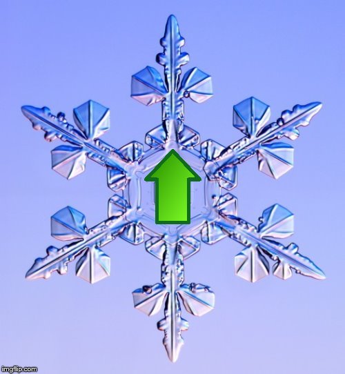 Special snowflake | image tagged in special snowflake | made w/ Imgflip meme maker