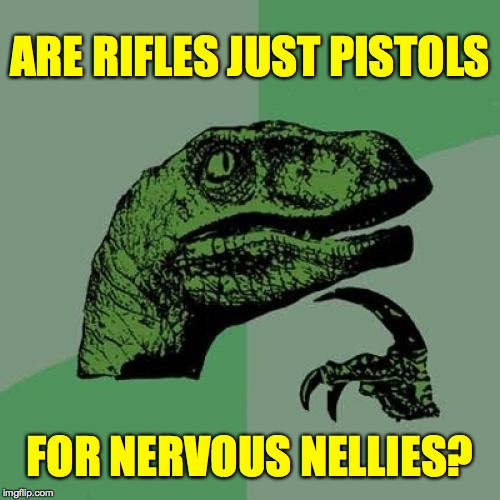 It's nothing to be ashamed of.  My great granny was nervous. | ARE RIFLES JUST PISTOLS; FOR NERVOUS NELLIES? | image tagged in memes,philosoraptor,nervous,special guns,granny | made w/ Imgflip meme maker