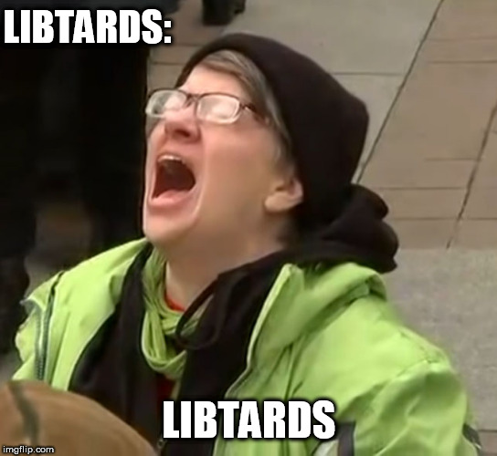 snowflake | LIBTARDS: LIBTARDS | image tagged in snowflake | made w/ Imgflip meme maker