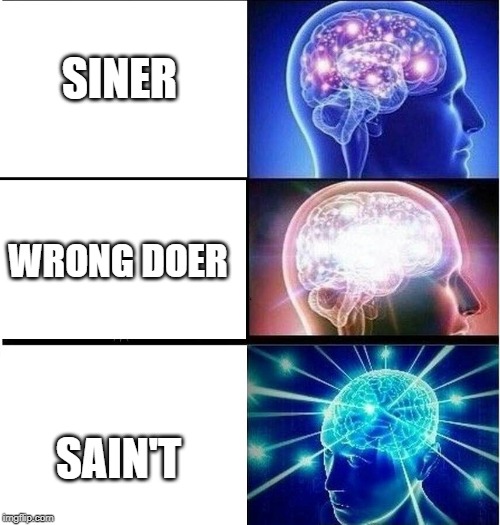 Expanding brain 3 panels | SINER; WRONG DOER; SAIN'T | image tagged in expanding brain 3 panels | made w/ Imgflip meme maker