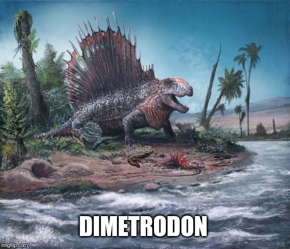 DIMETRODON | made w/ Imgflip meme maker