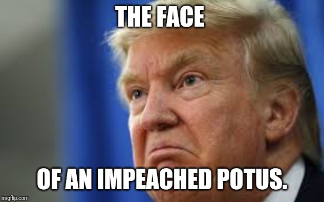Impeach Trump | THE FACE OF AN IMPEACHED POTUS. | image tagged in impeach trump | made w/ Imgflip meme maker