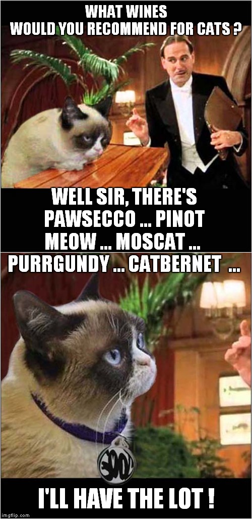Grumpys Wine Choices | WHAT WINES WOULD YOU RECOMMEND FOR CATS ? WELL SIR, THERE'S PAWSECCO ... PINOT MEOW ... MOSCAT ...  PURRGUNDY … CATBERNET  ... I'LL HAVE THE LOT ! | image tagged in fun,grumpy cat,wine,mr creasote,monty python | made w/ Imgflip meme maker