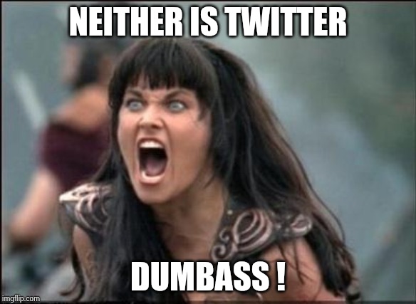 Angry Xena | NEITHER IS TWITTER DUMBASS ! | image tagged in angry xena | made w/ Imgflip meme maker