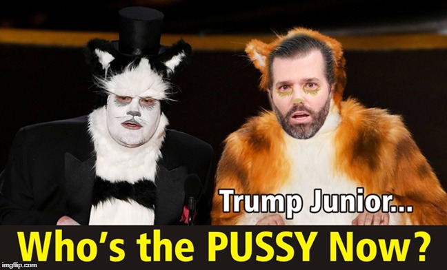 Meow Donald Junior! | image tagged in donald trump jr,cats,mitt romney,funny meme | made w/ Imgflip meme maker