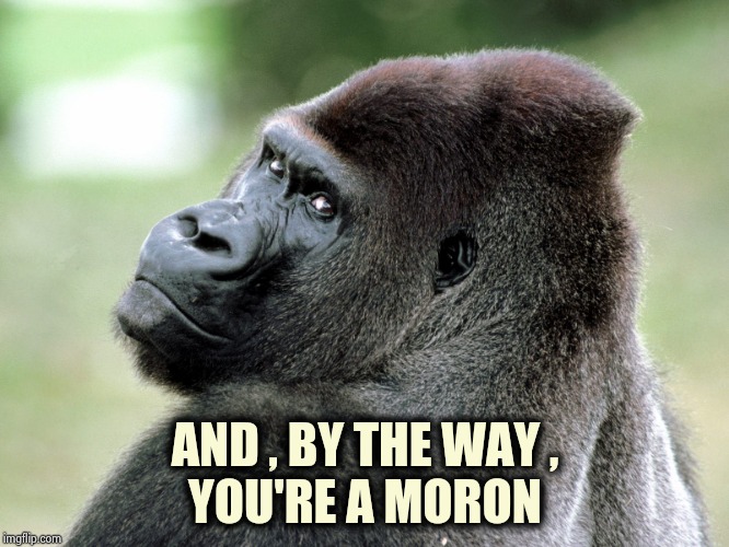 By the way | AND , BY THE WAY ,
YOU'RE A MORON | image tagged in by the way | made w/ Imgflip meme maker