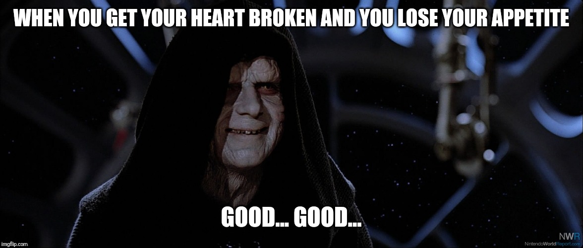 Star Wars Emperor Good Good | WHEN YOU GET YOUR HEART BROKEN AND YOU LOSE YOUR APPETITE; GOOD... GOOD... | image tagged in star wars emperor good good | made w/ Imgflip meme maker