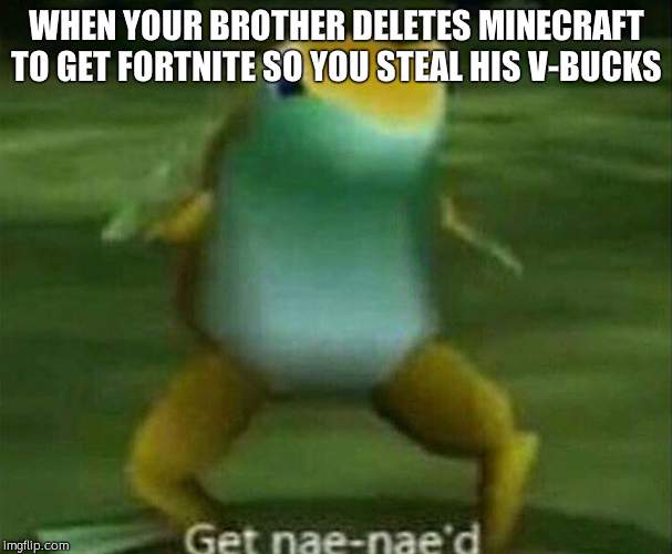 Get nae-nae'd | WHEN YOUR BROTHER DELETES MINECRAFT TO GET FORTNITE SO YOU STEAL HIS V-BUCKS | image tagged in get nae-nae'd | made w/ Imgflip meme maker