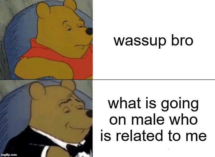 Tuxedo Winnie The Pooh Meme | wassup bro; what is going on male who is related to me | image tagged in memes,tuxedo winnie the pooh | made w/ Imgflip meme maker