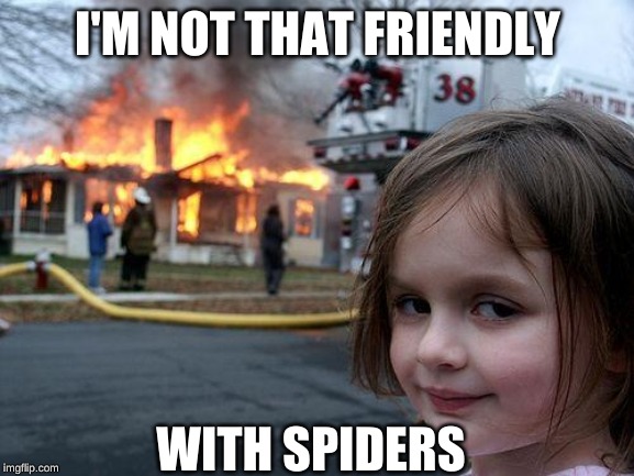 Disaster Girl Meme | I'M NOT THAT FRIENDLY; WITH SPIDERS | image tagged in memes,disaster girl | made w/ Imgflip meme maker