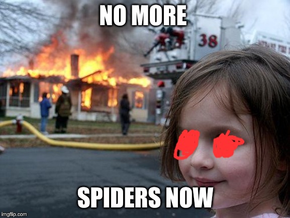 Disater | NO MORE; SPIDERS NOW | image tagged in disater | made w/ Imgflip meme maker
