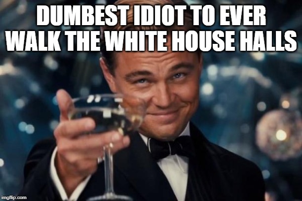 Leonardo Dicaprio Cheers Meme | DUMBEST IDIOT TO EVER WALK THE WHITE HOUSE HALLS | image tagged in memes,leonardo dicaprio cheers | made w/ Imgflip meme maker