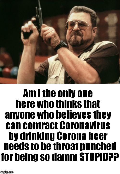 I mean seriously! | Am I the only one here who thinks that anyone who believes they can contract Coronavirus by drinking Corona beer; needs to be throat punched for being so damm STUPID?? | image tagged in am i the only one around here,stupid people,coronavirus | made w/ Imgflip meme maker