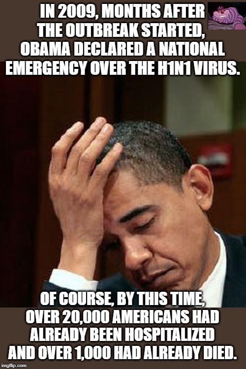 By the end, 3,642 Americans died and almost 15,000 worldwide died | IN 2009, MONTHS AFTER THE OUTBREAK STARTED,  OBAMA DECLARED A NATIONAL EMERGENCY OVER THE H1N1 VIRUS. OF COURSE, BY THIS TIME, OVER 20,000 AMERICANS HAD ALREADY BEEN HOSPITALIZED AND OVER 1,000 HAD ALREADY DIED. | image tagged in obama facepalm 250px | made w/ Imgflip meme maker