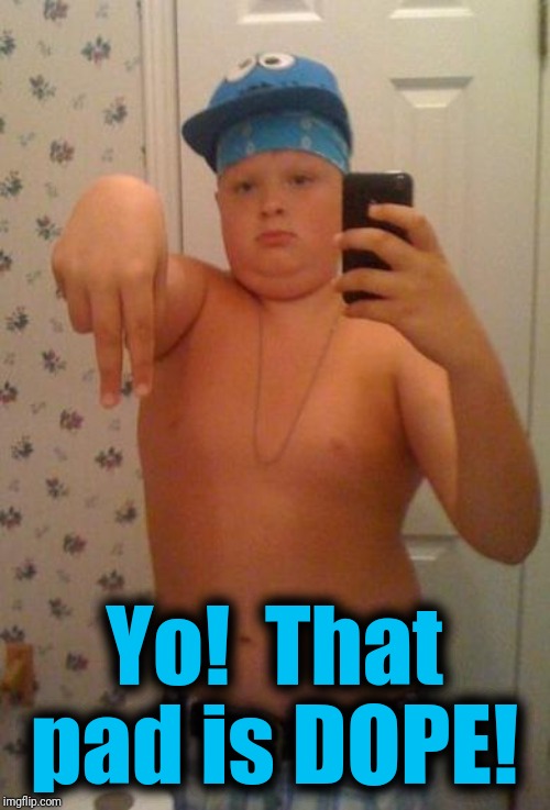 Suburban Gangster | Yo!  That pad is DOPE! | image tagged in suburban gangster | made w/ Imgflip meme maker