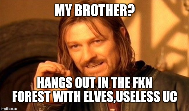 One Does Not Simply Meme | MY BROTHER? HANGS OUT IN THE FKN FOREST WITH ELVES,USELESS UC | image tagged in memes,one does not simply | made w/ Imgflip meme maker