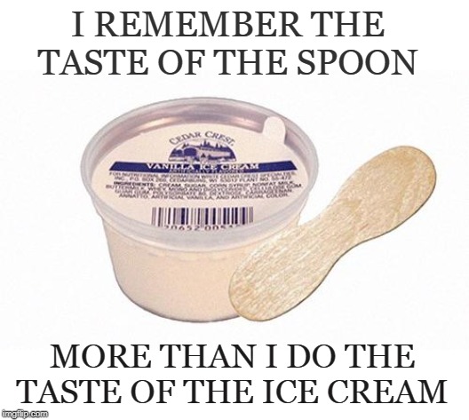Wood Spoon Flavored |  I REMEMBER THE TASTE OF THE SPOON; MORE THAN I DO THE TASTE OF THE ICE CREAM | image tagged in memes,ice cream,ice cream cup,memories,nostalgia,funny | made w/ Imgflip meme maker