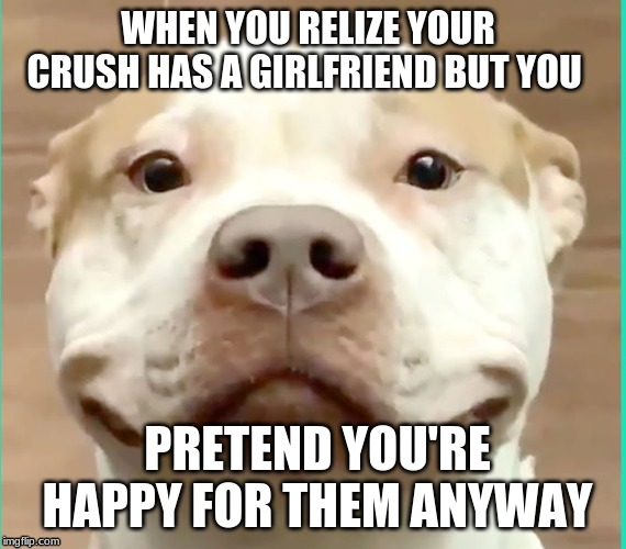 I am dead inside | WHEN YOU RELIZE YOUR CRUSH HAS A GIRLFRIEND BUT YOU; PRETEND YOU'RE HAPPY FOR THEM ANYWAY | image tagged in i am dead inside | made w/ Imgflip meme maker