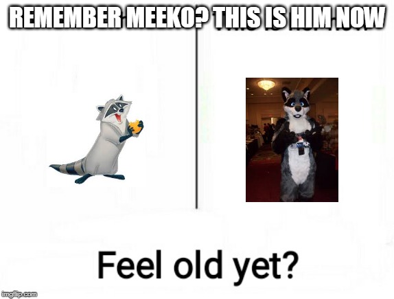 Diezel Raccoon as Meeko | REMEMBER MEEKO? THIS IS HIM NOW | image tagged in feel old yet,raccoon | made w/ Imgflip meme maker