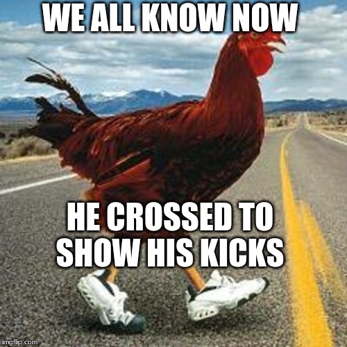 Chicken Got Swag | WE ALL KNOW NOW; HE CROSSED TO SHOW HIS KICKS | image tagged in chicken,shoes | made w/ Imgflip meme maker