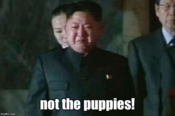 Kim Jong Un Sad Meme | not the puppies! | image tagged in memes,kim jong un sad | made w/ Imgflip meme maker