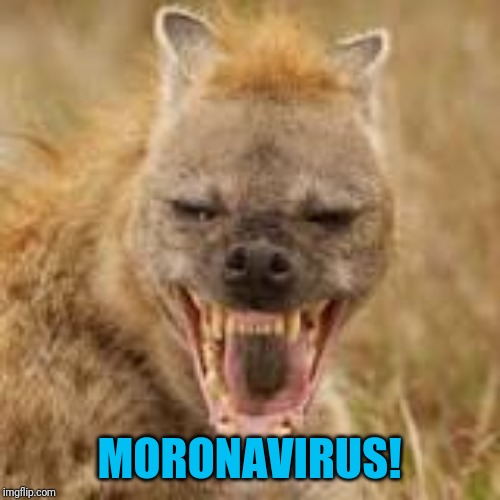 Mohawk hyena | MORONAVIRUS! | image tagged in mohawk hyena | made w/ Imgflip meme maker