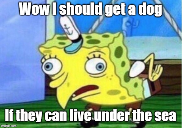 Wow I should get a dog If they can live under the sea | image tagged in memes,mocking spongebob | made w/ Imgflip meme maker