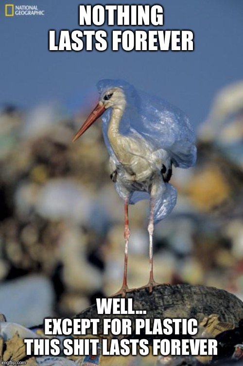 NOTHING LASTS FOREVER; WELL...
EXCEPT FOR PLASTIC
THIS SHIT LASTS FOREVER | made w/ Imgflip meme maker