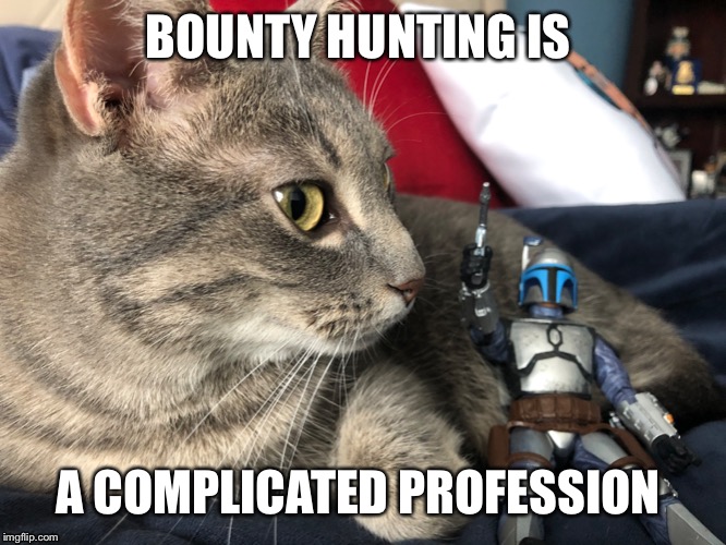 BOUNTY HUNTING IS; A COMPLICATED PROFESSION | image tagged in bounty hunter,cats,jango fett | made w/ Imgflip meme maker