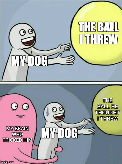 Running Away Balloon | THE BALL I THREW; MY DOG; THE BALL HE THOUGHT I THREW; MY BRAIN WHO TRICKED HIM; MY DOG | image tagged in memes,running away balloon | made w/ Imgflip meme maker
