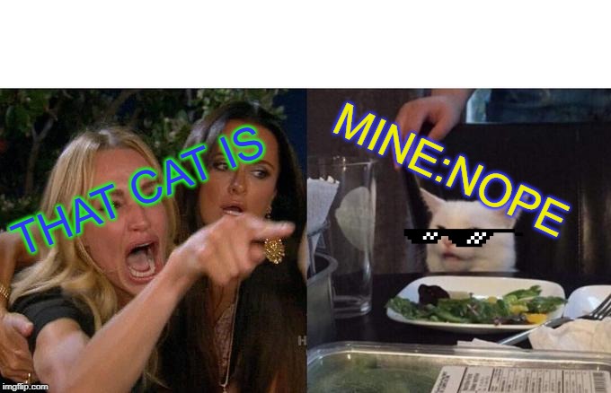 Woman Yelling At Cat | MINE:NOPE; THAT CAT IS | image tagged in memes,woman yelling at cat | made w/ Imgflip meme maker